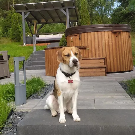 Dom Na Wzgorzu Z Widokiem Na Jezioro Z Balia I Sauna بيت للعطل