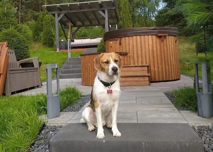 Dom Na Wzgorzu Z Widokiem Na Jezioro Z Balia I Sauna بيت للعطل